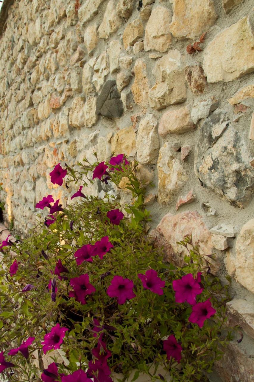 Villa Di Cazzano - Bioluxury Living Soave (Verona) Exterior foto