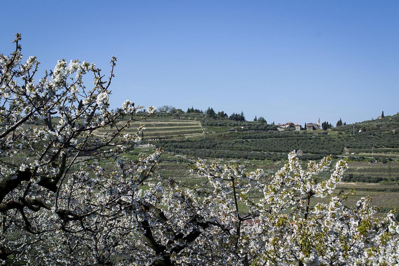 Villa Di Cazzano - Bioluxury Living Soave (Verona) Exterior foto